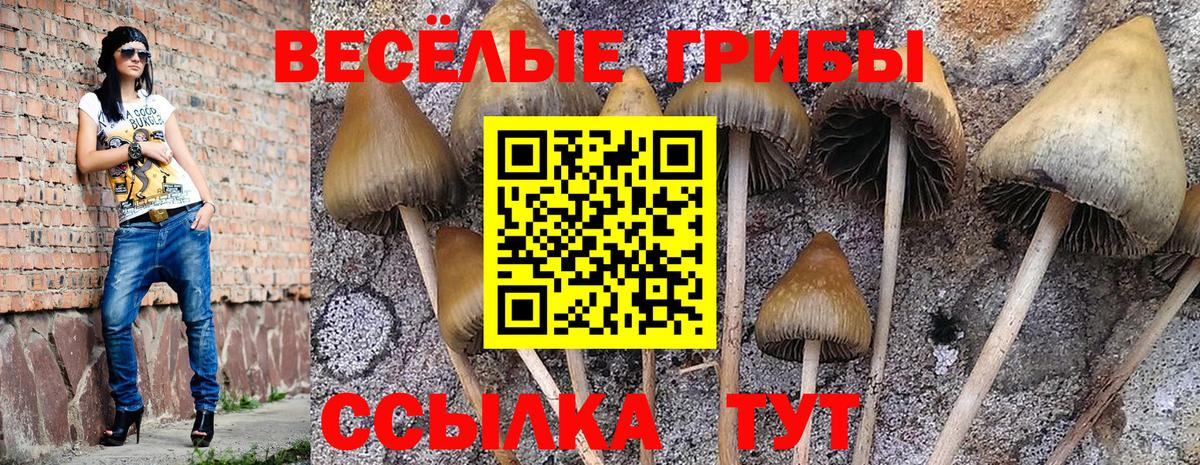 Галлюциногенные грибы мухоморы  Вход с VPN  Галлюциногенные грибы GOLDEN TEACHER  Магнитогорск 